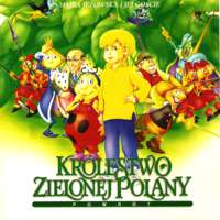 Królestwo Zielonej Polany - okładka
